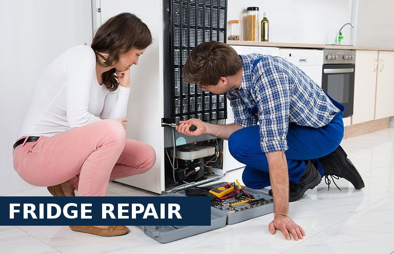 Fridge Repair Chertsey